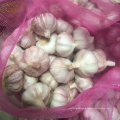 China fresh garlic supply 5.0-6.0, new season normal white garlic export